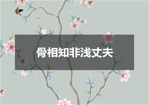 骨相知非浅丈夫