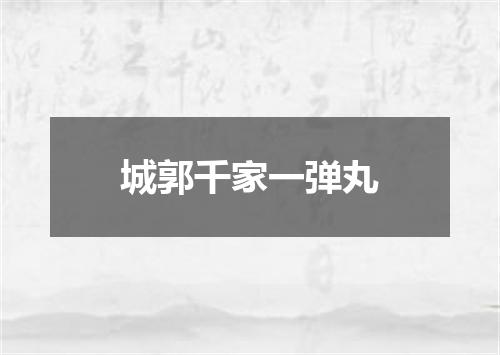 城郭千家一弹丸