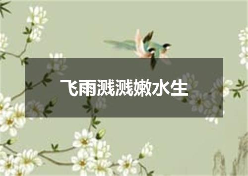 飞雨溅溅嫩水生