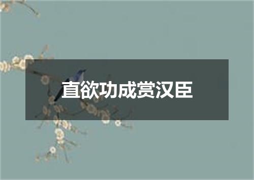 直欲功成赏汉臣