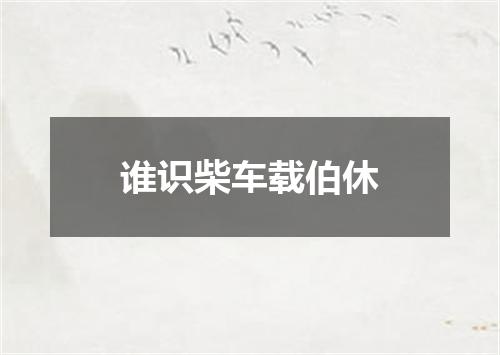 谁识柴车载伯休