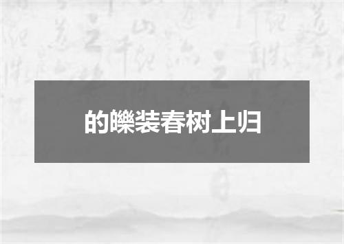 的皪装春树上归