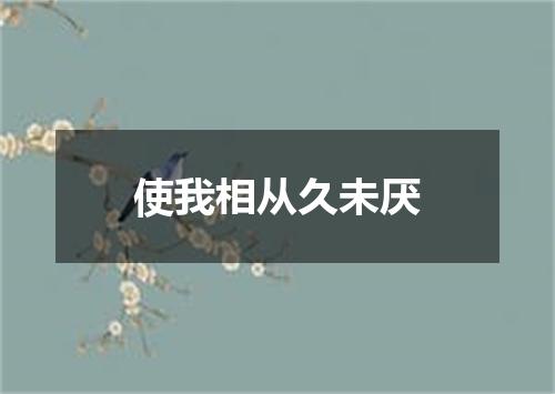 使我相从久未厌