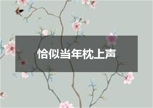 恰似当年枕上声