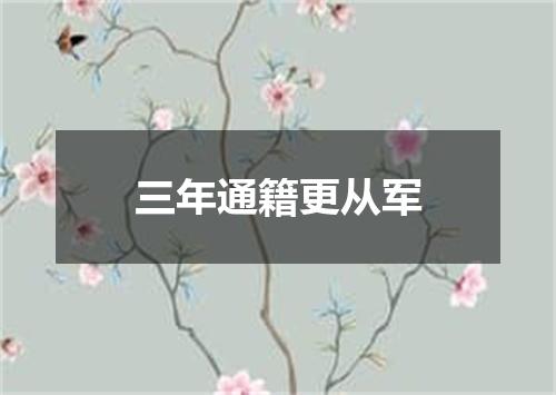 三年通籍更从军