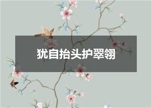 犹自抬头护翠翎