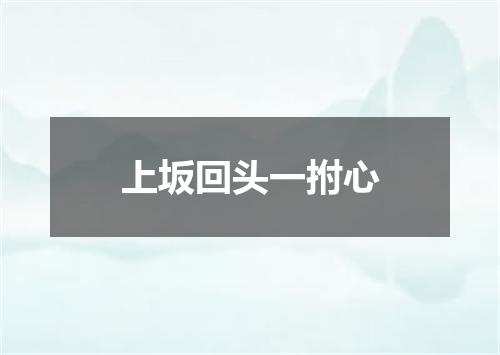 上坂回头一拊心
