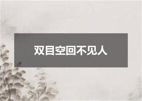 双目空回不见人