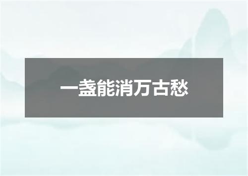 一盏能消万古愁