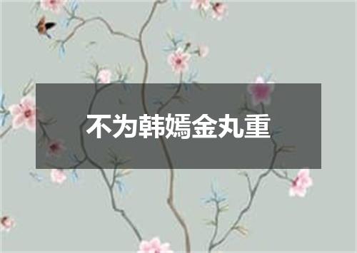 不为韩嫣金丸重
