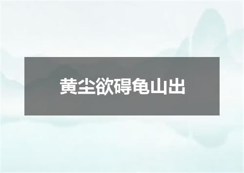 黄尘欲碍龟山出