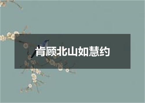 肯顾北山如慧约