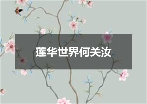 莲华世界何关汝
