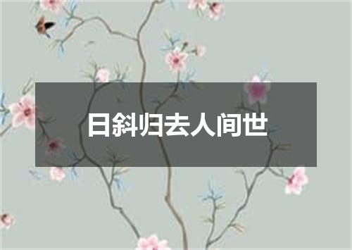 日斜归去人间世