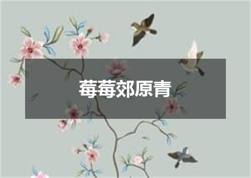 莓莓郊原青