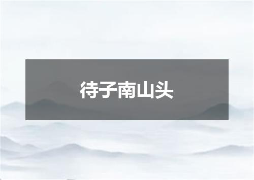 待子南山头