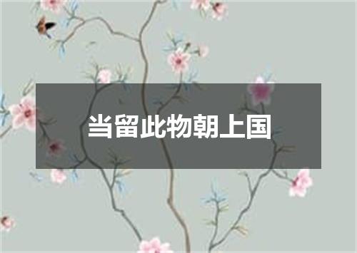 当留此物朝上国