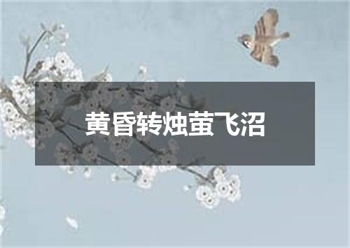 黄昏转烛萤飞沼
