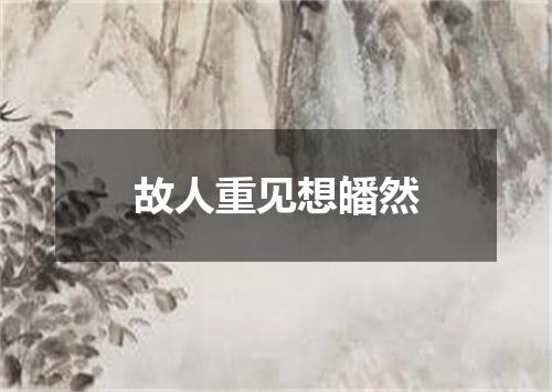 故人重见想皤然