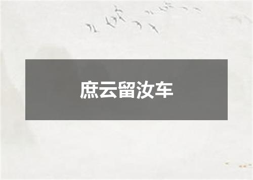 庶云留汝车