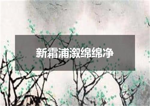 新霜浦溆绵绵净