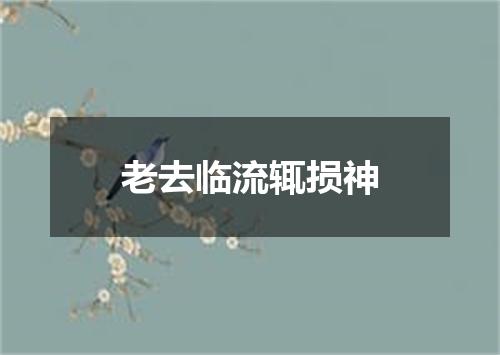 老去临流辄损神