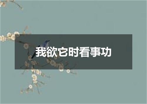 我欲它时看事功