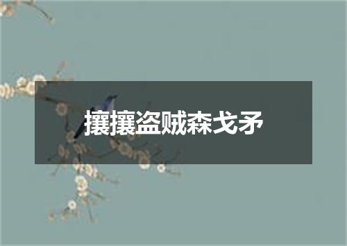 攘攘盗贼森戈矛