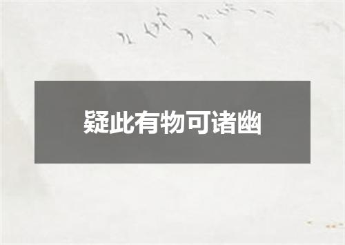 疑此有物可诸幽