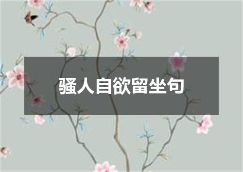 骚人自欲留坐句