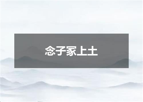 念子冢上土