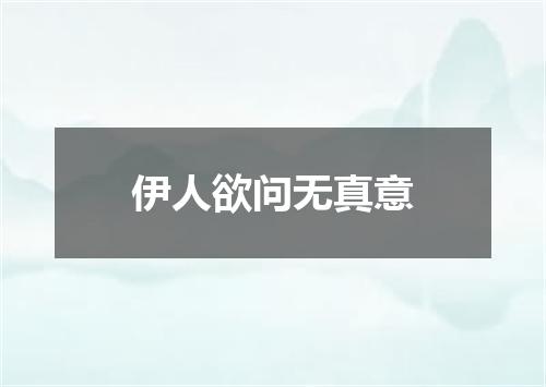 伊人欲问无真意