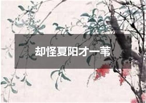 却怪夏阳才一苇