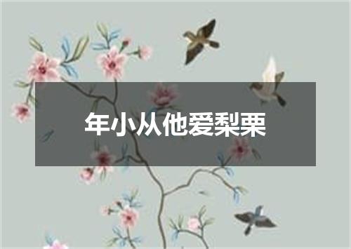 年小从他爱梨栗