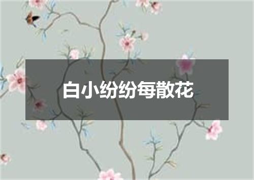 白小纷纷每散花