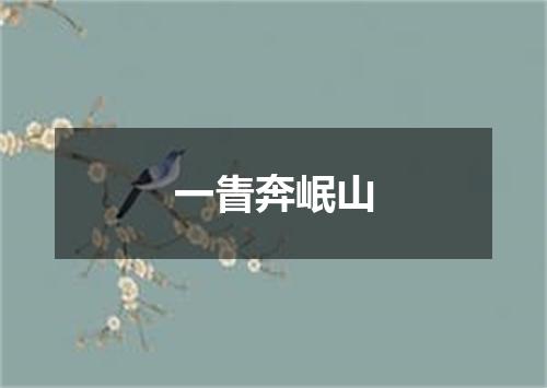 一眚奔岷山