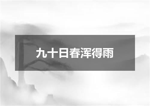 九十日春浑得雨