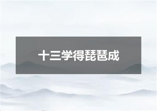 十三学得琵琶成