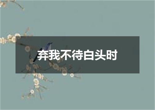 弃我不待白头时