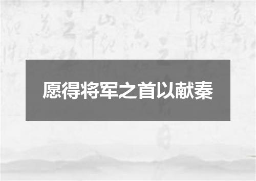 愿得将军之首以献秦