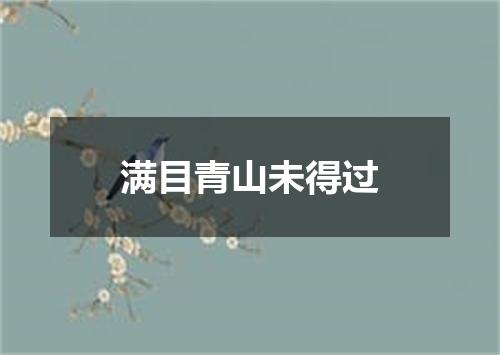 满目青山未得过
