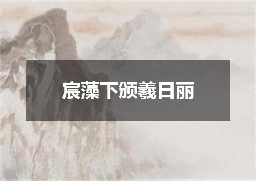 宸藻下颁羲日丽