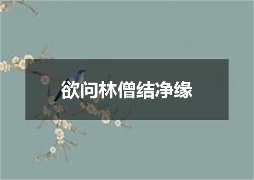 欲问林僧结净缘