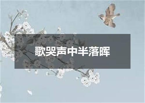 歌哭声中半落晖