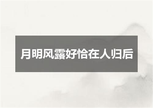 月明风露好恰在人归后