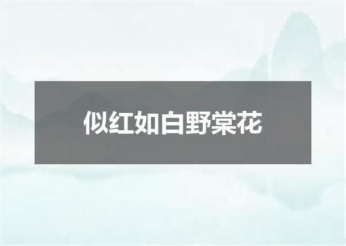 似红如白野棠花