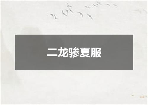 二龙骖夏服