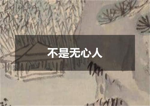 不是无心人