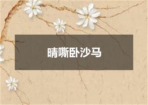 晴嘶卧沙马