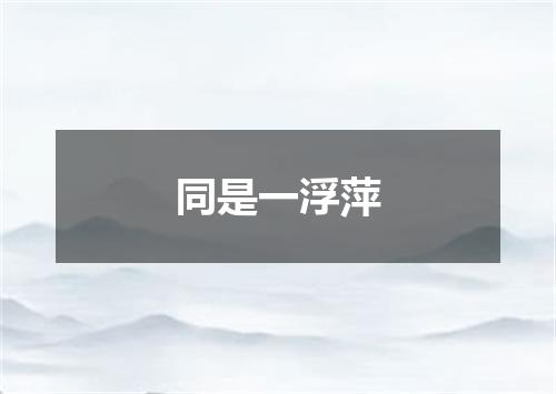 同是一浮萍